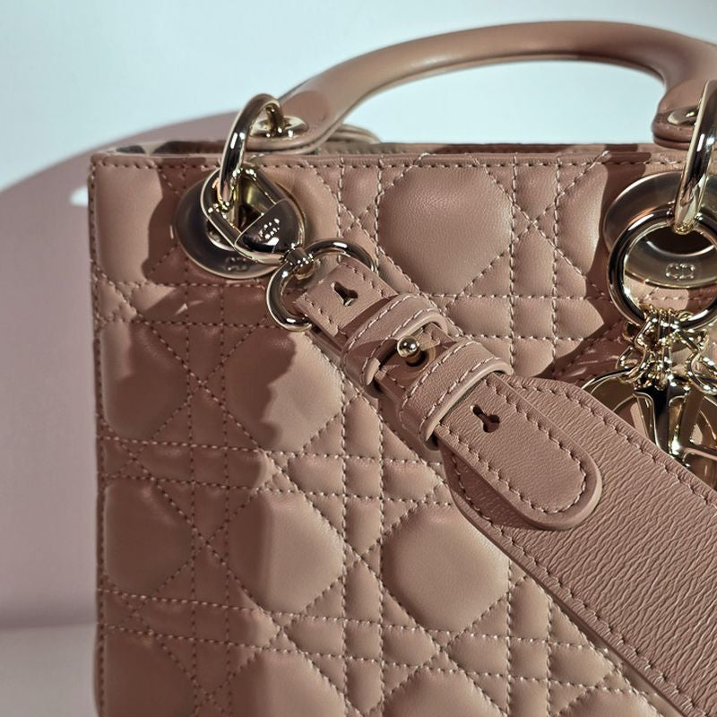 디올 레이디백 스몰