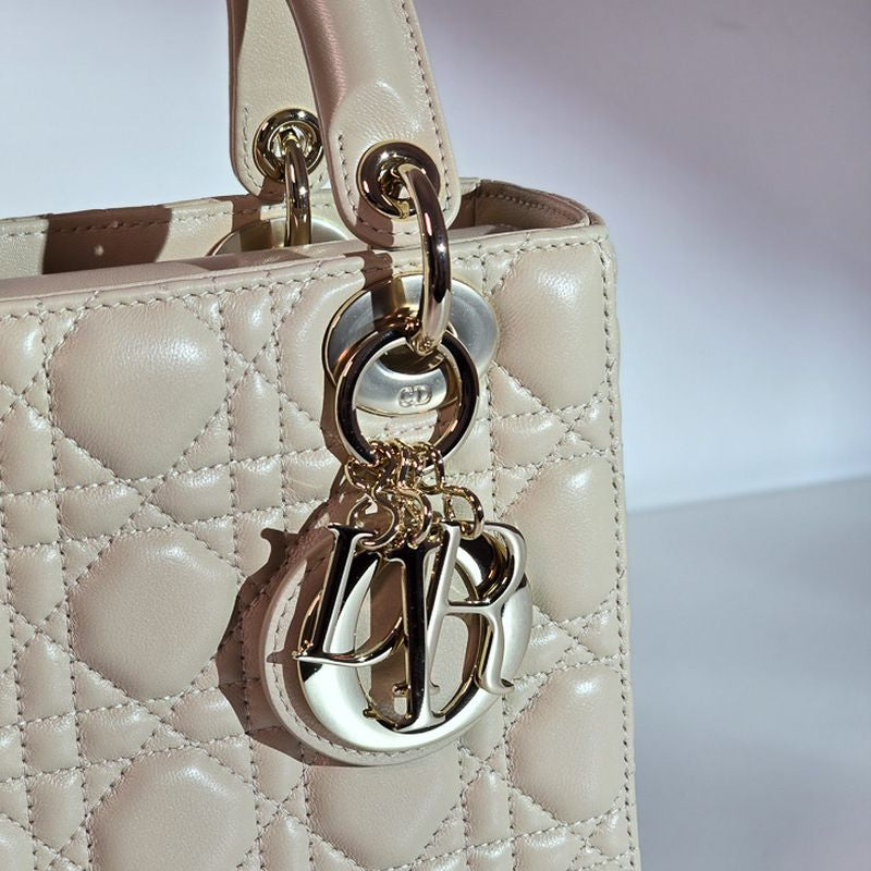 디올 레이디백 스몰