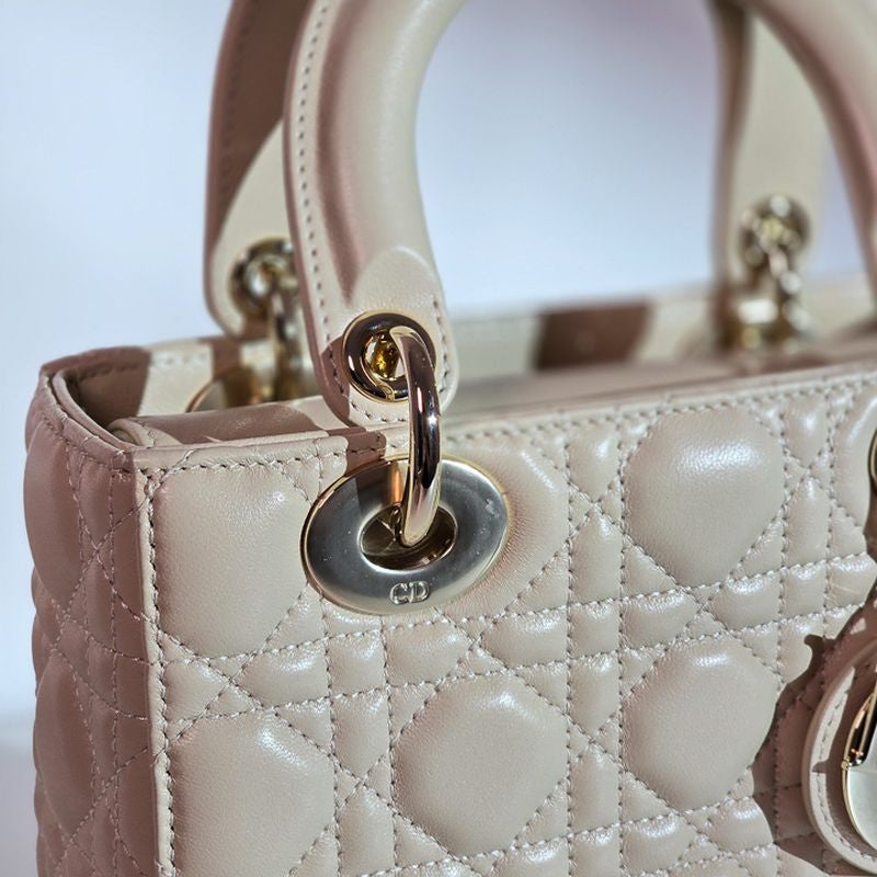 디올 레이디백 스몰