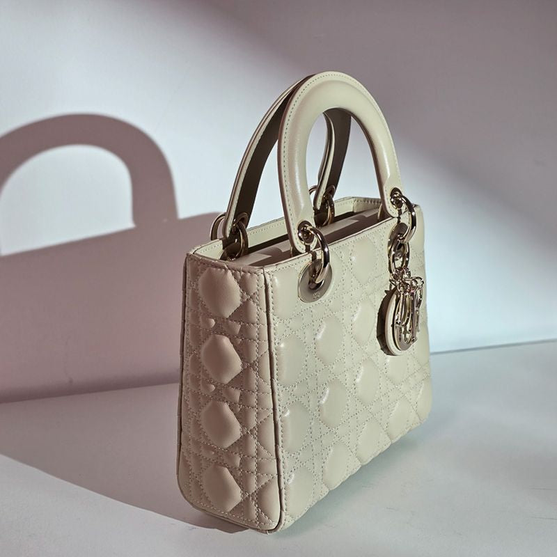 디올 레이디백 스몰