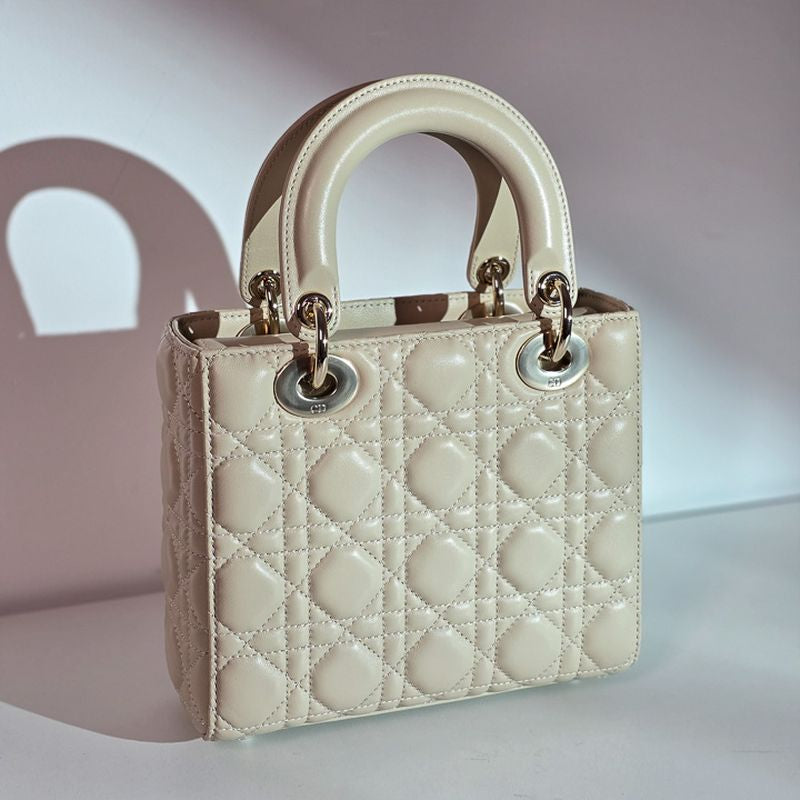 디올 레이디백 스몰