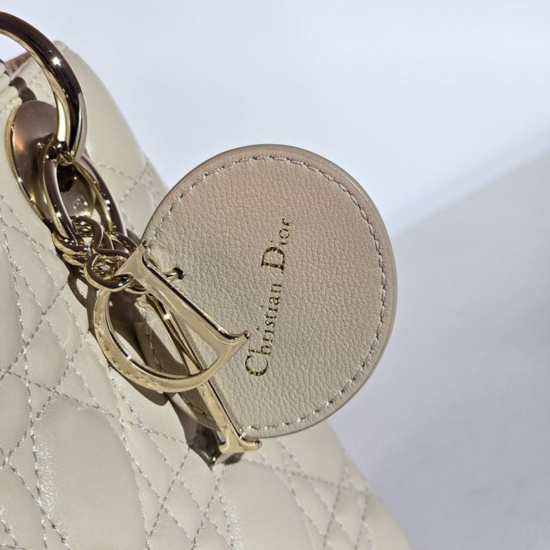 디올 레이디백 스몰