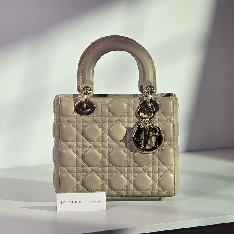 디올 레이디백 스몰