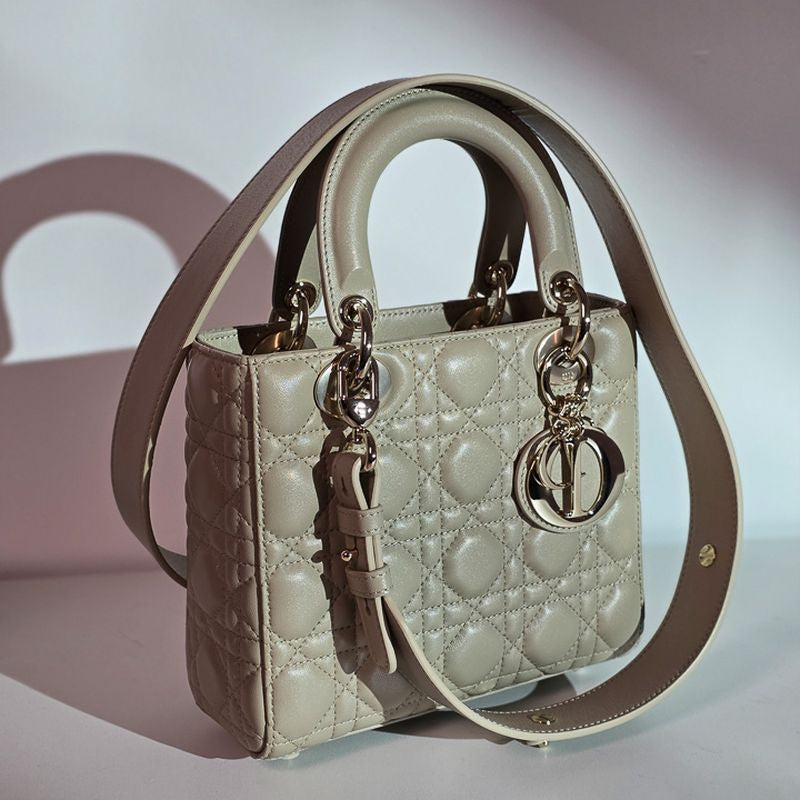 디올 레이디백 스몰
