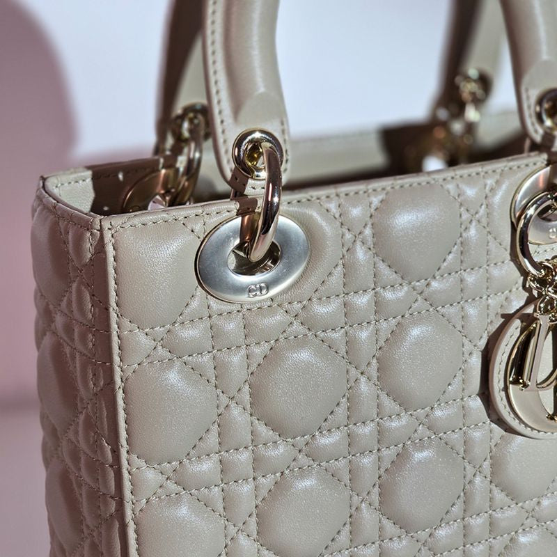 디올 레이디백 스몰