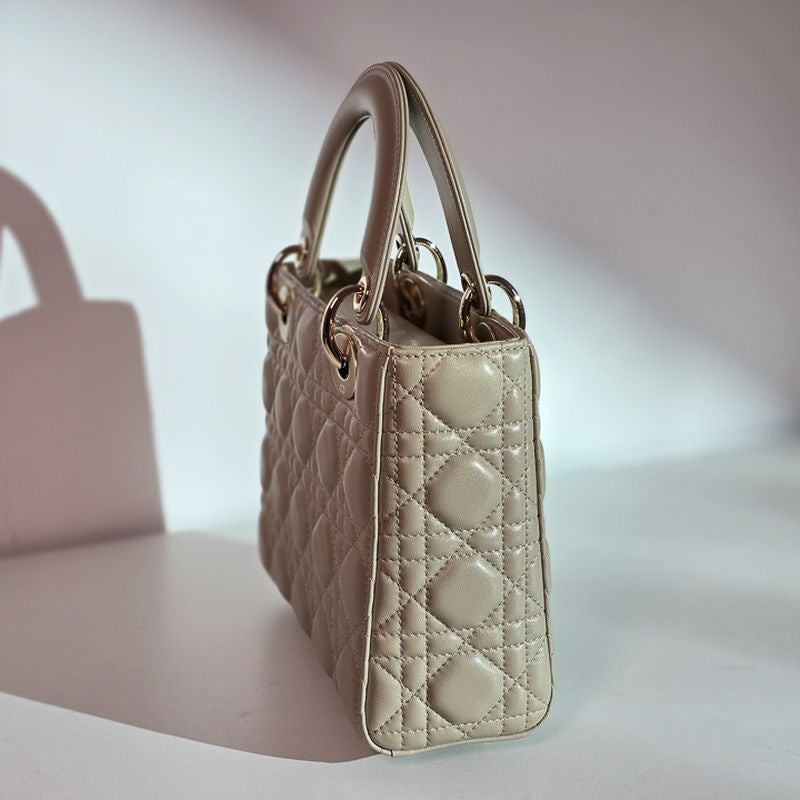 디올 레이디백 스몰