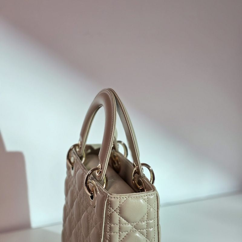 디올 레이디백 스몰