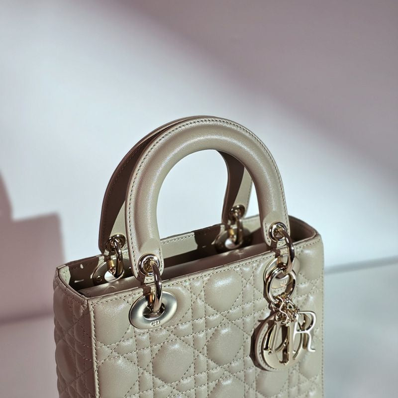 디올 레이디백 스몰