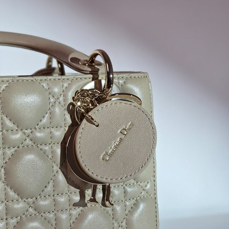 디올 레이디백 스몰