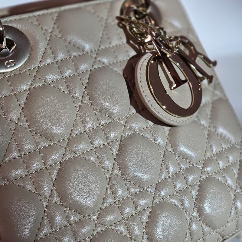 디올 레이디백 스몰