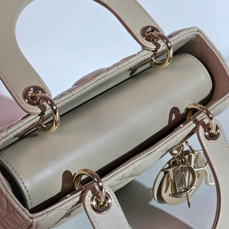 디올 레이디백 스몰