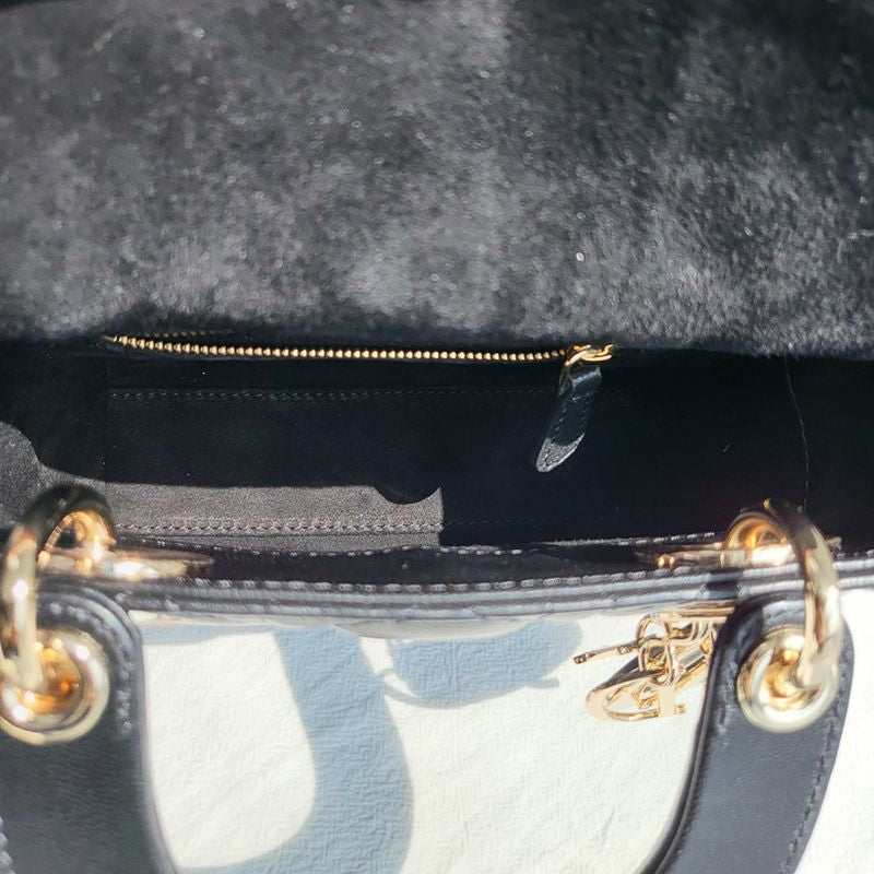 디올 레이디백 미니