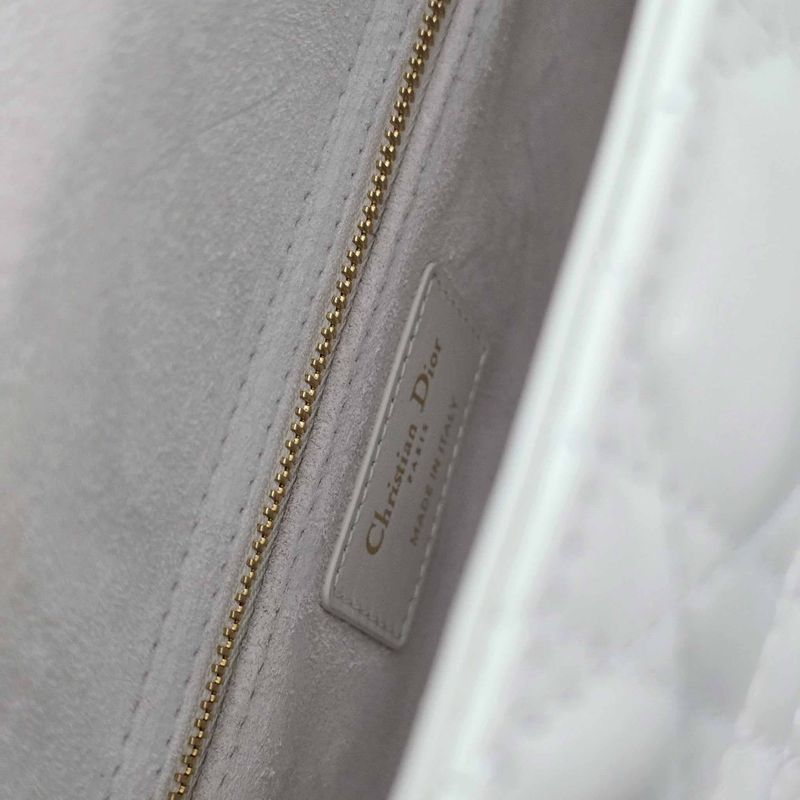 디올 레이디백 스몰