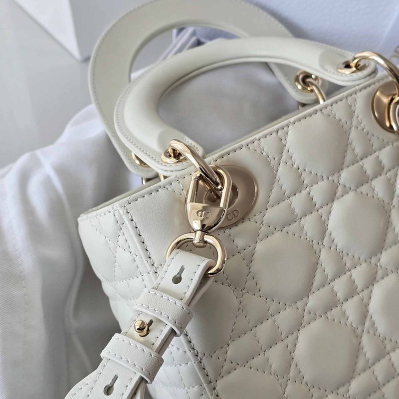 디올 레이디백 스몰