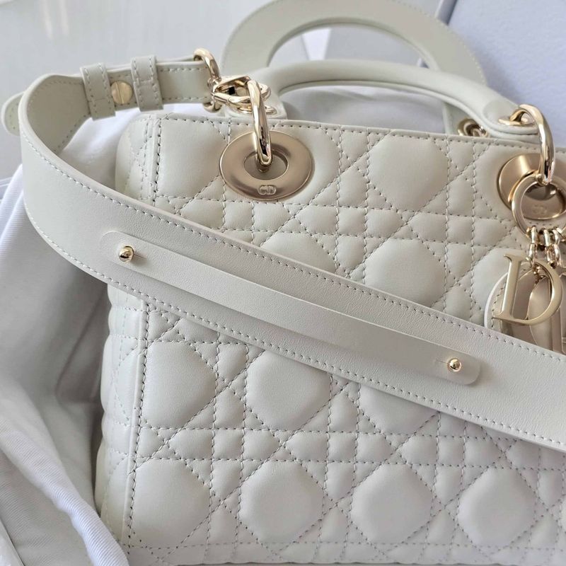 디올 레이디백 스몰