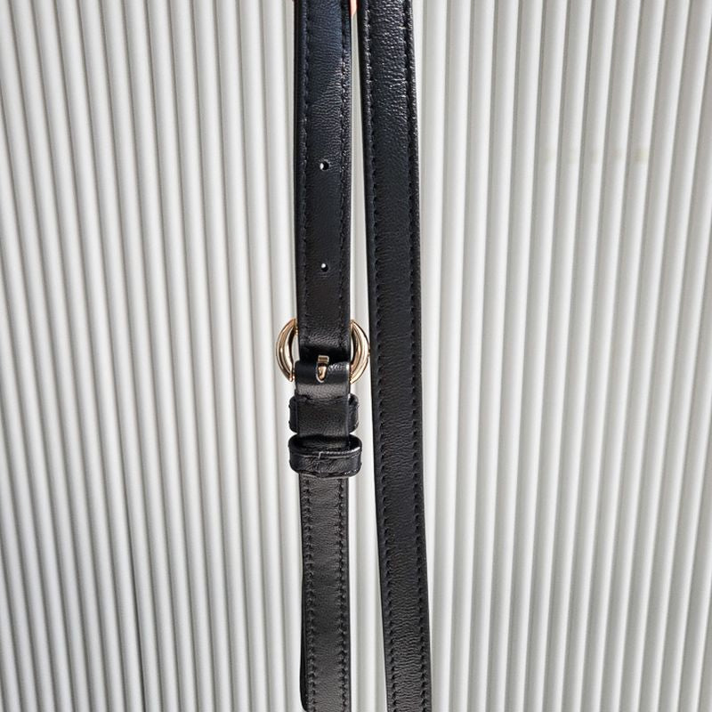 디올 레이디백 미니