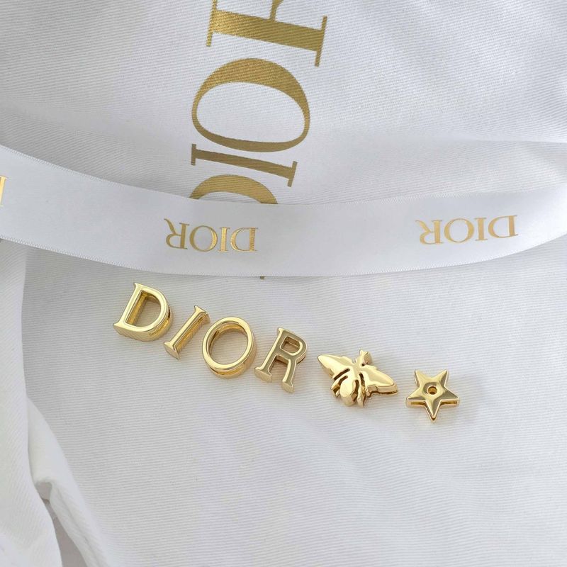 디올 레이디백 스몰