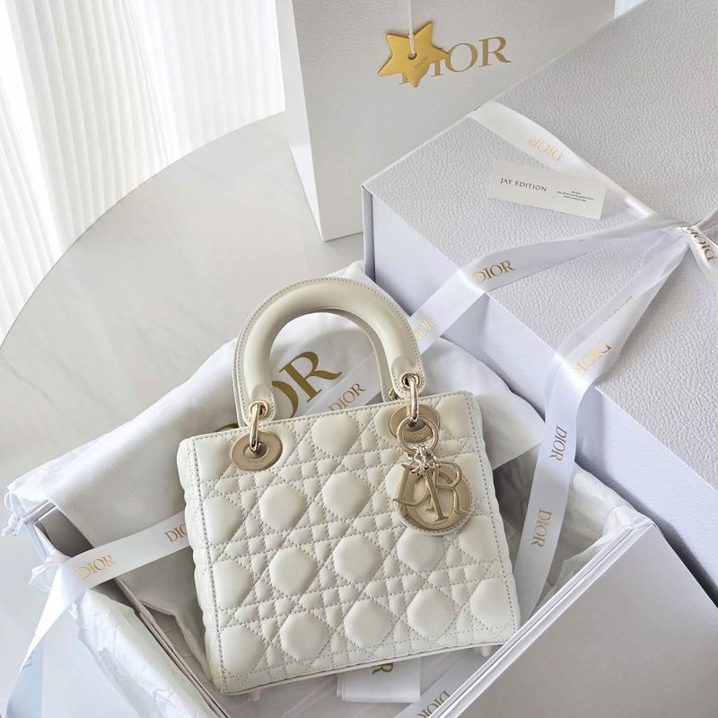 디올 레이디백 스몰