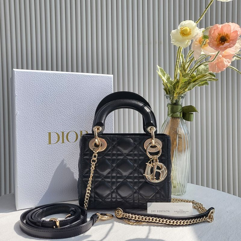 디올 레이디백 미니