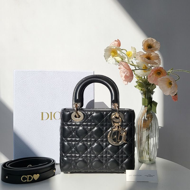 디올 레이디백 스몰