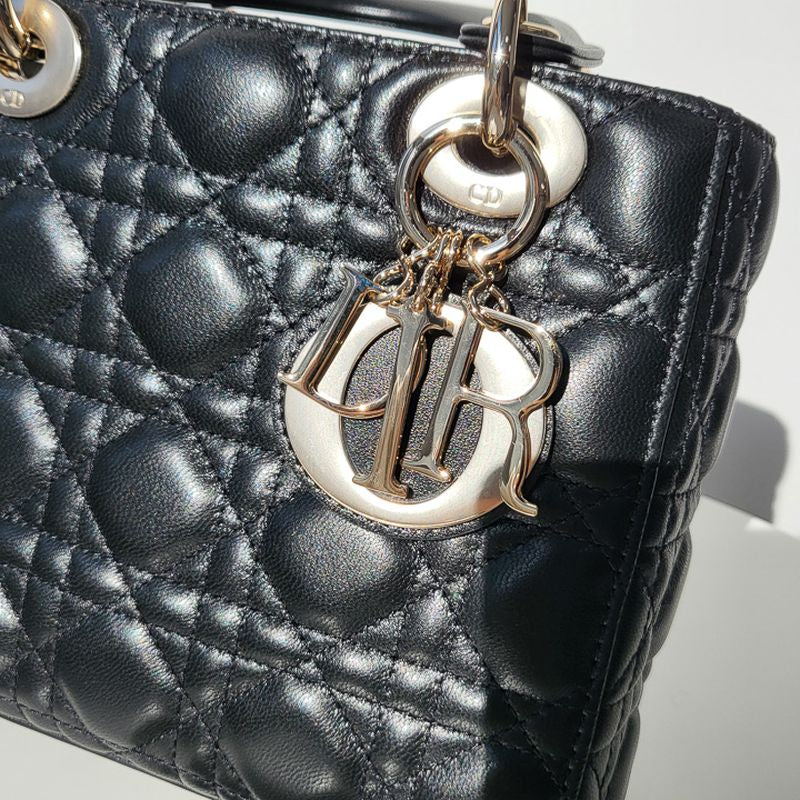 디올 레이디백 스몰