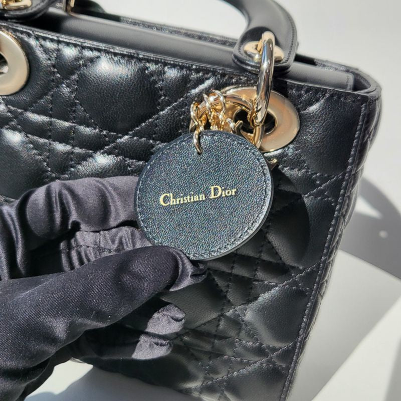 디올 레이디백 스몰