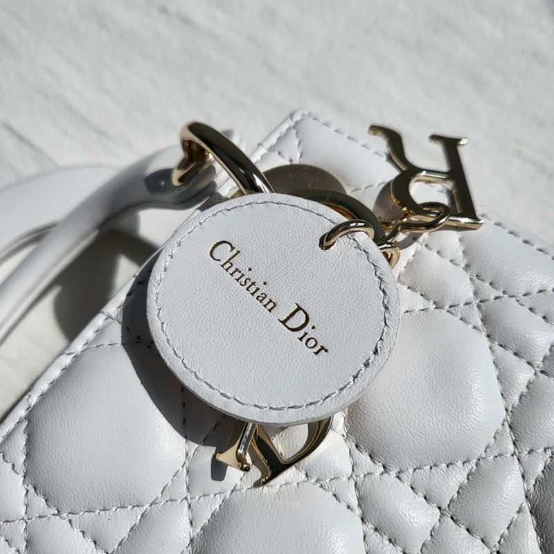 디올 레이디백 미니
