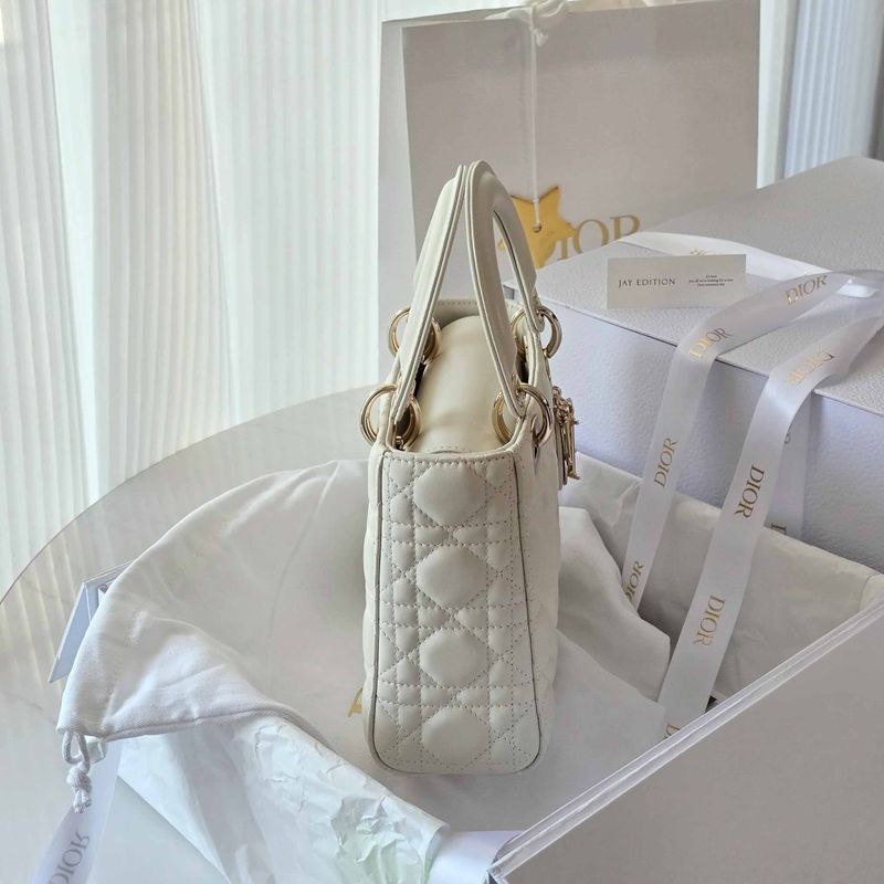 디올 레이디백 스몰