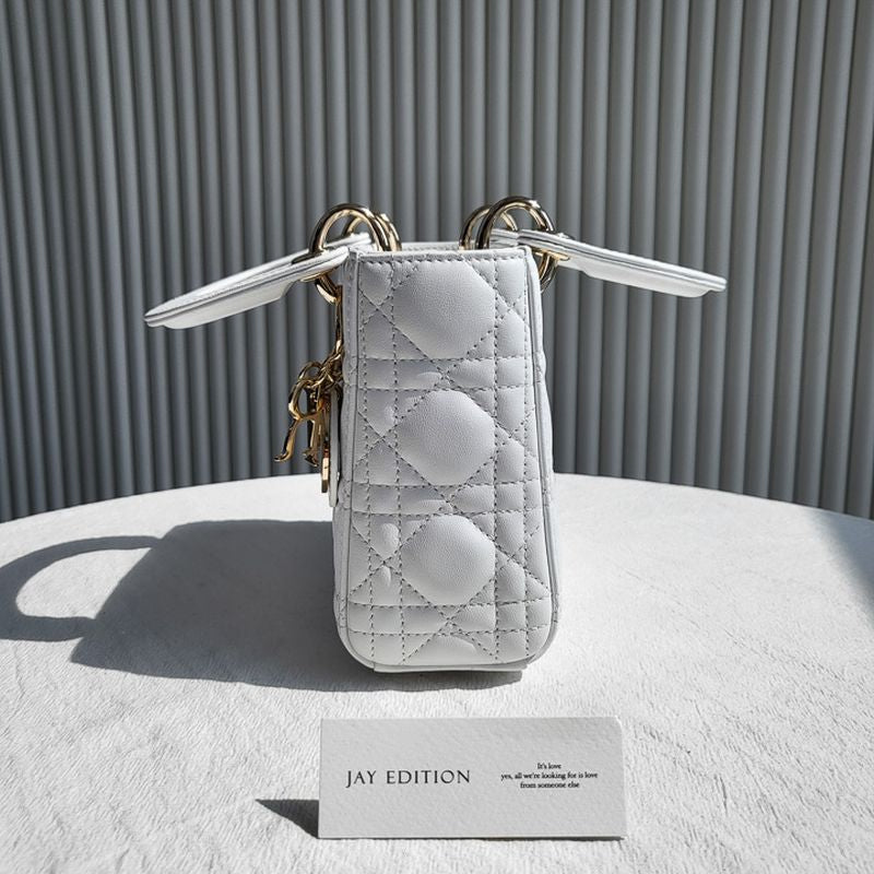 디올 레이디백 미니