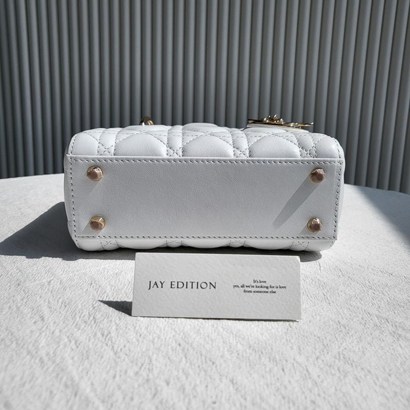 디올 레이디백 미니