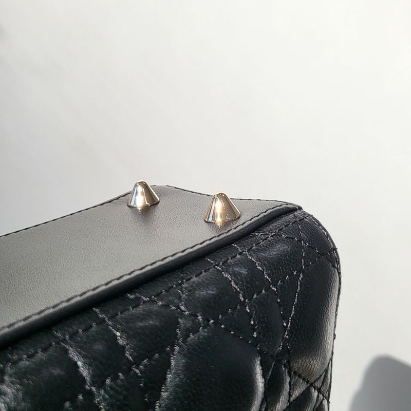 디올 레이디백 스몰