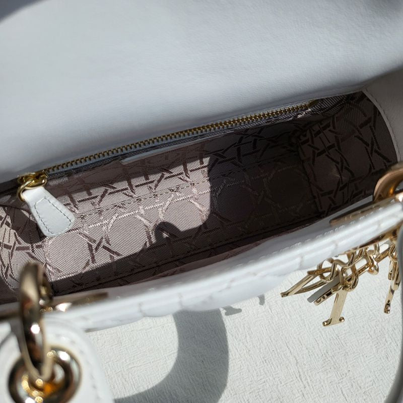 디올 레이디백 미니