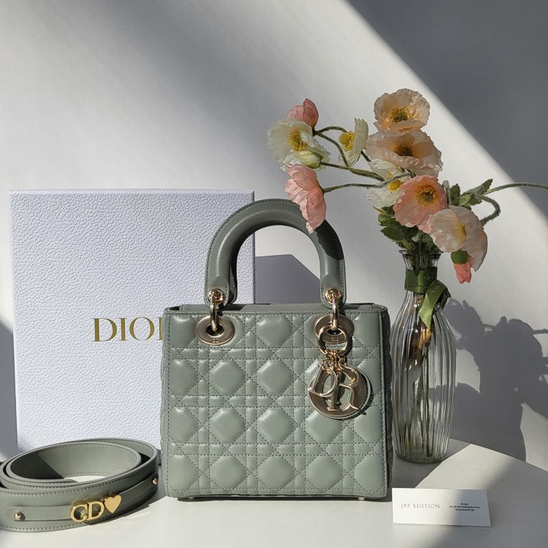 디올 레이디백 스몰