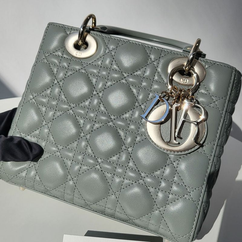 디올 레이디백 스몰