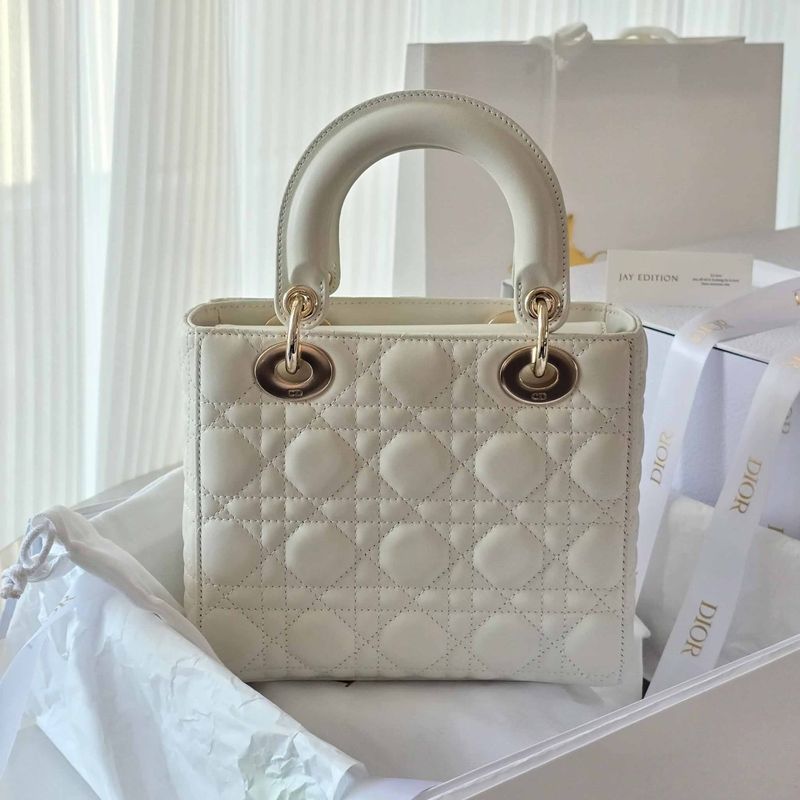 디올 레이디백 스몰