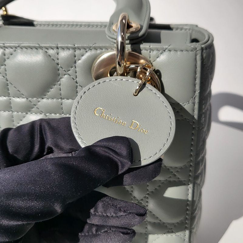디올 레이디백 스몰