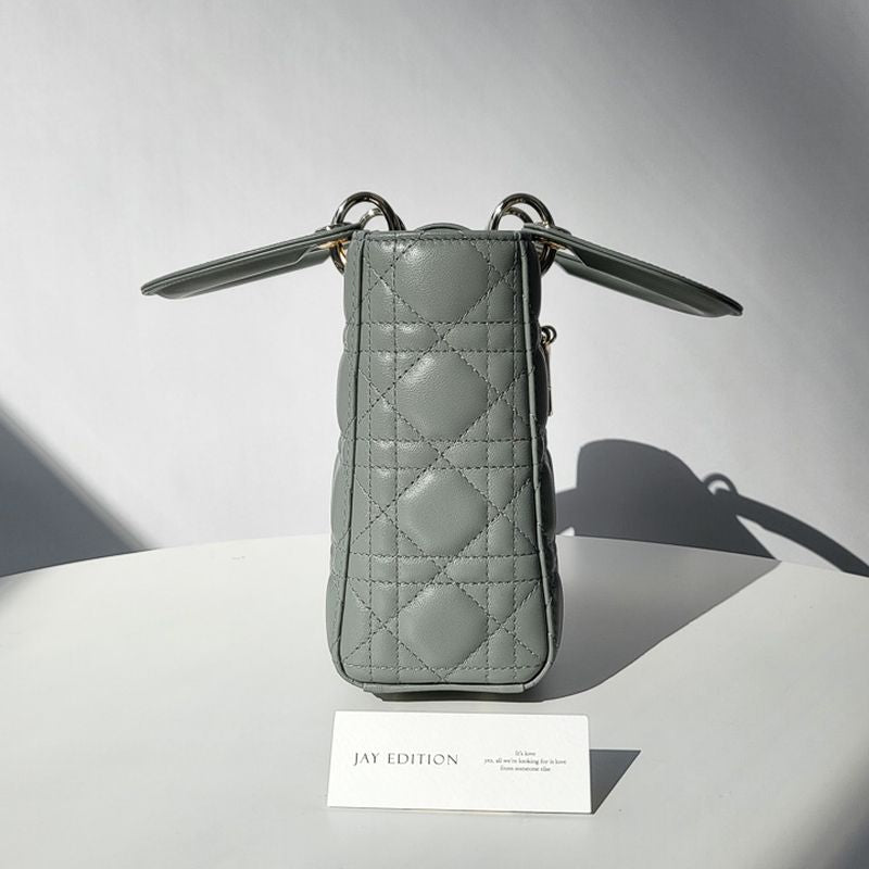 디올 레이디백 스몰