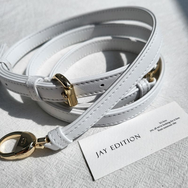 디올 레이디백 미니