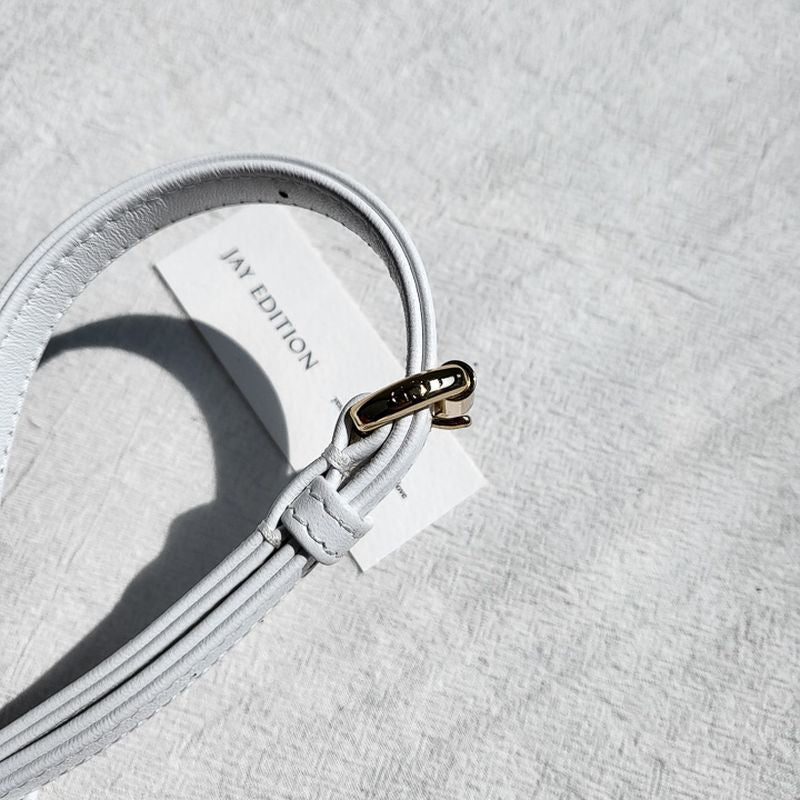 디올 레이디백 미니