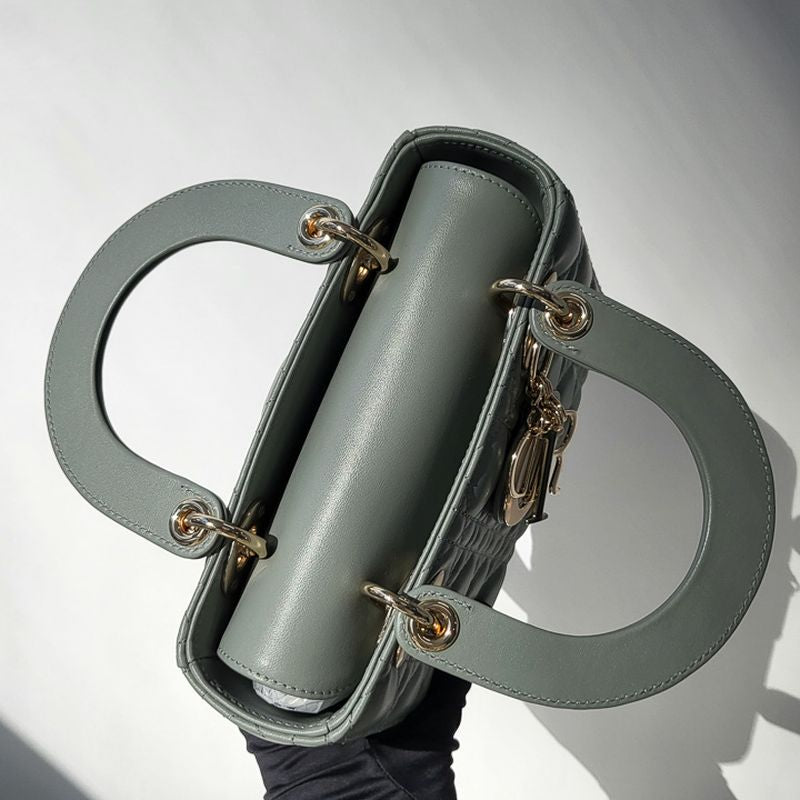 디올 레이디백 스몰