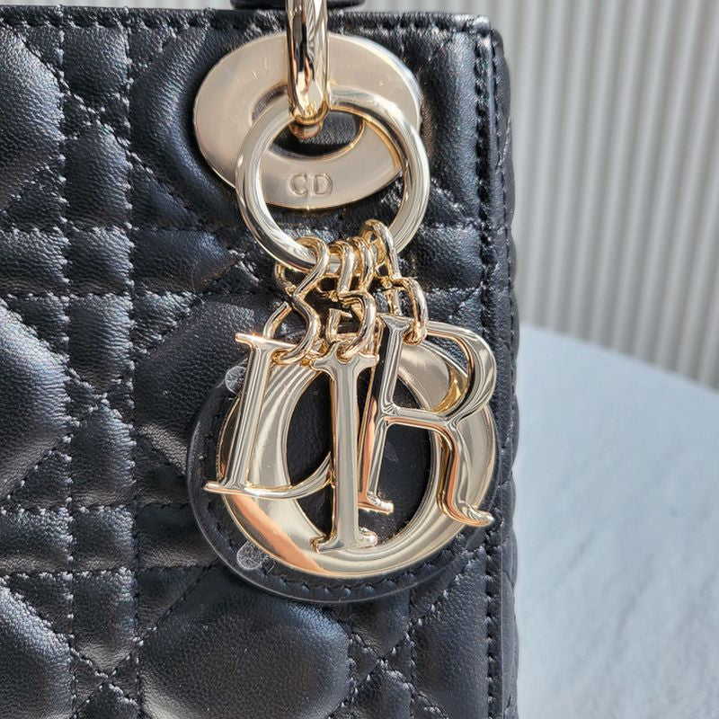 디올 레이디백 미니