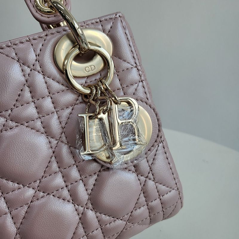 디올 레이디백 미니