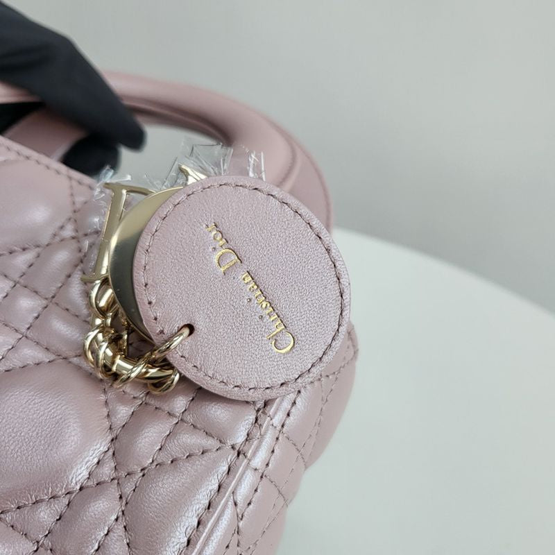 디올 레이디백 미니