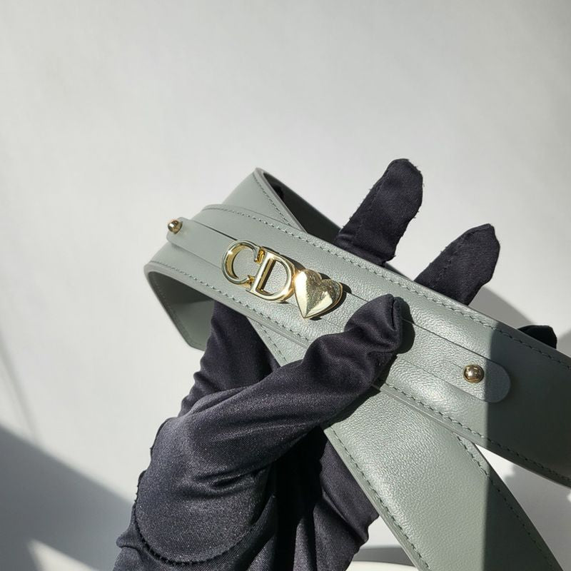디올 레이디백 스몰