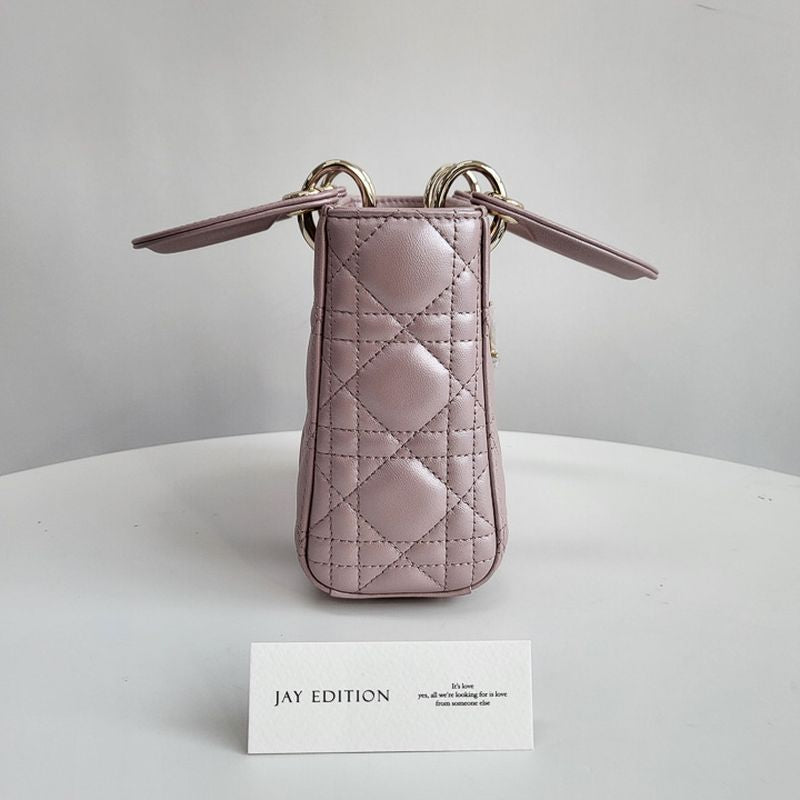 디올 레이디백 미니