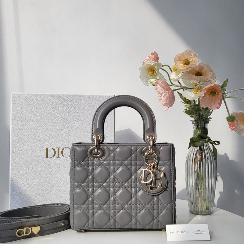 디올 레이디백 스몰