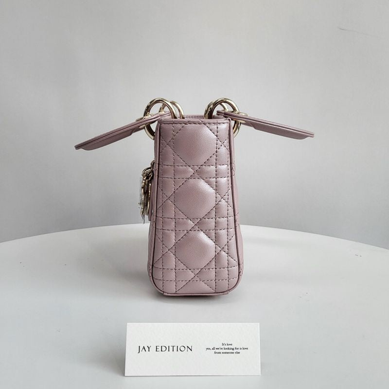 디올 레이디백 미니