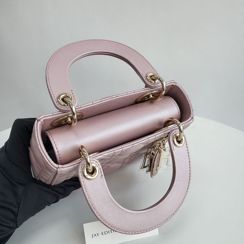 디올 레이디백 미니