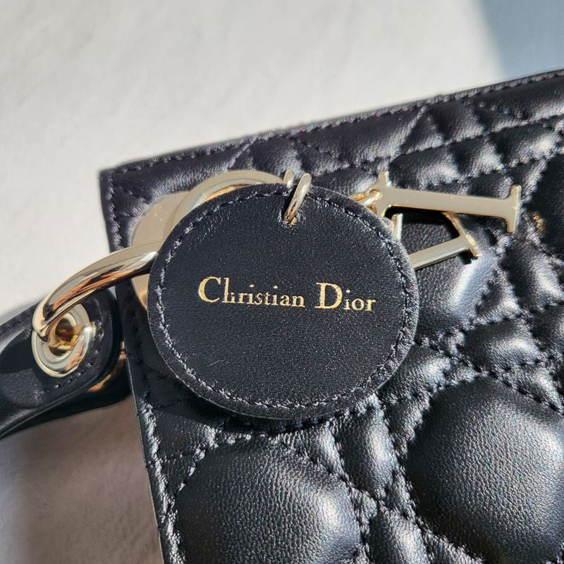 디올 레이디백 미니