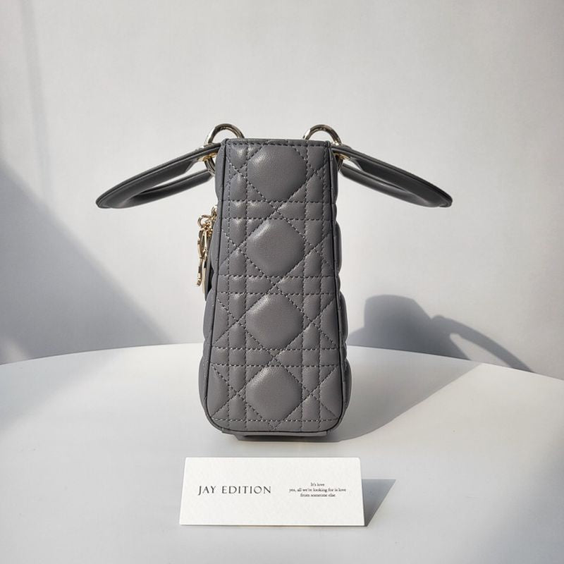 디올 레이디백 스몰